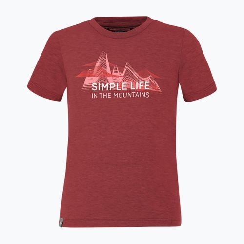 Koszulka trekkingowa dziecięca Salewa Simple Life Dry syrah melange