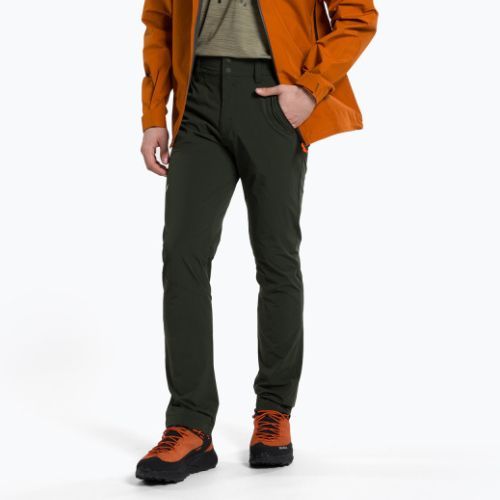 Spodnie trekkingowe męskie Salewa Talveno 2 DST dark olive