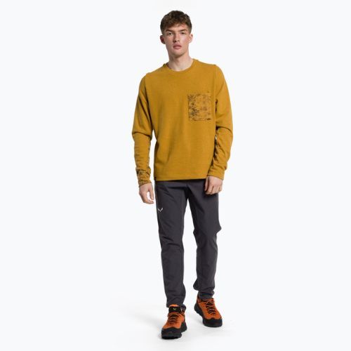 Bluza trekkingowa męska Salewa Lavaredo Hemp Pullover golden brown