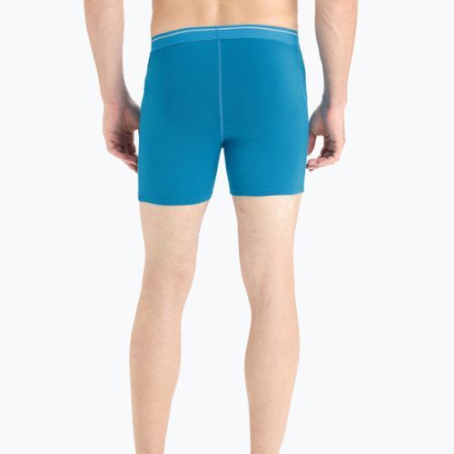 Bokserki termoaktywne męskie icebreaker Anatomica geo blue
