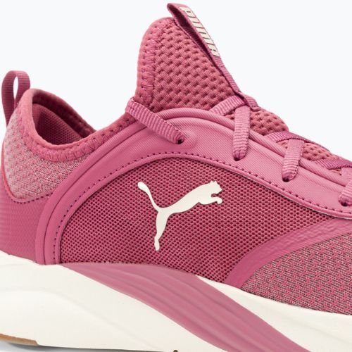 Buty do biegania damskie PUMA Softride Ruby dusty orchid/marshmallow