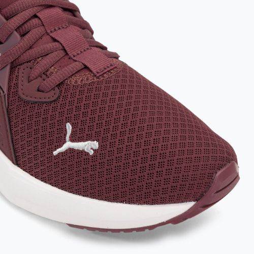 Buty do biegania damskie PUMA Softride Enzo Nxt wood violet/puma silver