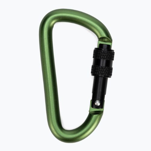 Karabinek Salewa D-Shape Carbiner With Screw green