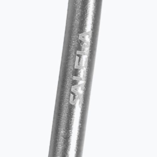 Karabinek Salewa D-Shape Carbiner With Screw black