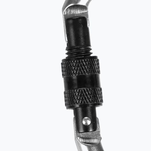 Karabinek Salewa D-Shape Carbiner With Screw black