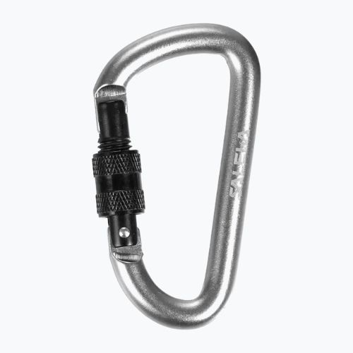 Karabinek Salewa D-Shape Carbiner With Screw black