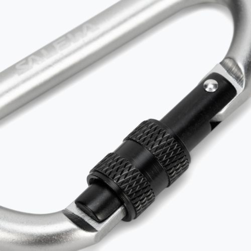Karabinek Salewa D-Shape Carbiner With Screw grey