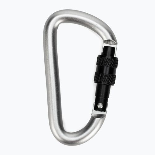 Karabinek Salewa D-Shape Carbiner With Screw grey