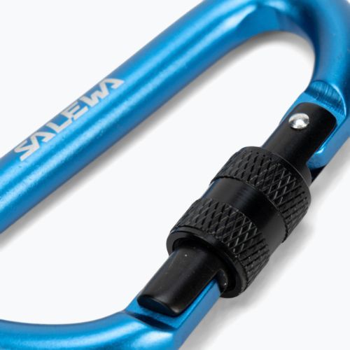 Karabinek Salewa D-Shape Carbiner With Screw blue