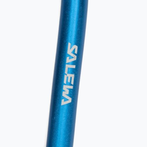 Karabinek Salewa D-Shape Carbiner With Screw blue
