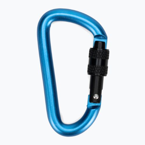 Karabinek Salewa D-Shape Carbiner With Screw blue