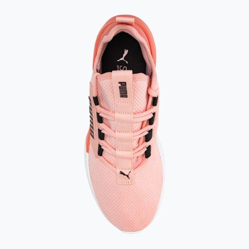 Buty do biegania damskie PUMA Retaliate Mesh rose dust/hibiscus flower/puma black