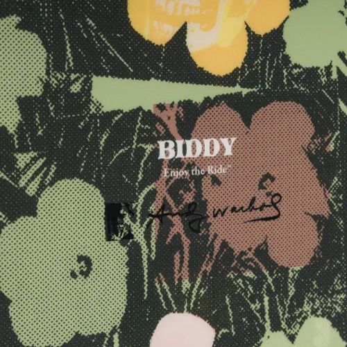 Deska snowboardowa damska DC AW Biddy W in bloom