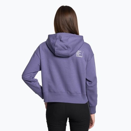 Bluza trekkingowa damska The North Face Outdoor Graphic Hoodie cave blue