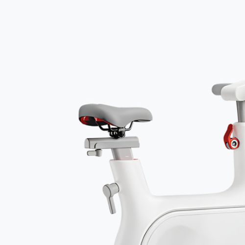 Rower spiningowy Yesoul M2EV