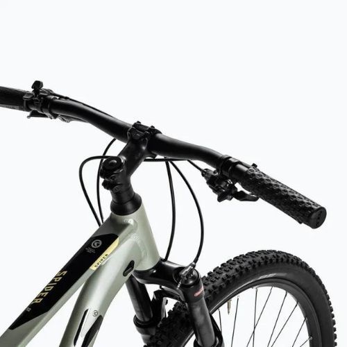 Rower górski Kellys Spider 90 29" grey/green
