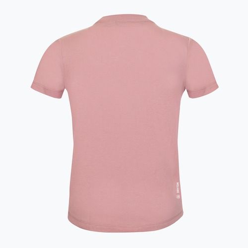 Koszulka trekkingowa dziecięca Salewa Graphic Dry zephyr