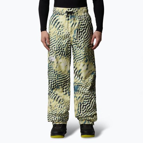 Spodnie narciarskie męskie The North Face Build Up nettle the lift print