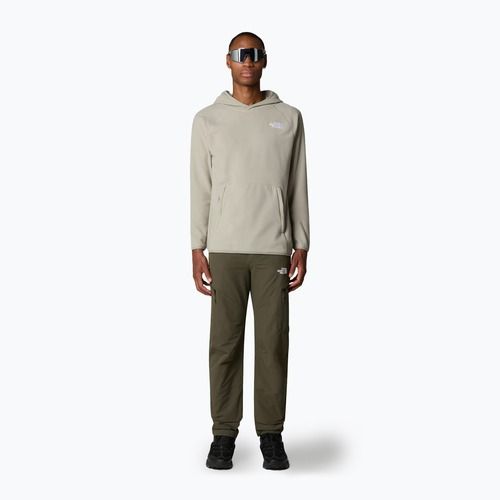 Bluza męska The North Face 100 Glacier Hoodie clay grey