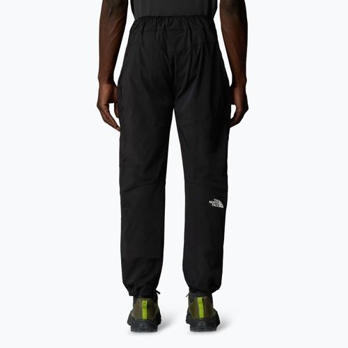 Spodnie trekkingowe męskie The North Face Alpine Ridge Regular Tapered black/npf