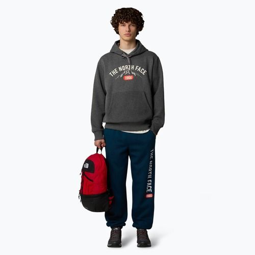 Bluza męska The North Face Varsity Graphic medium grey heather
