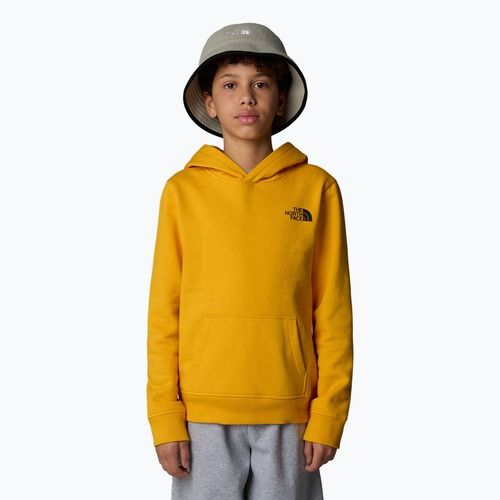 Bluza dziecięca The North Face Teen Redbox Regular P/O summit gold