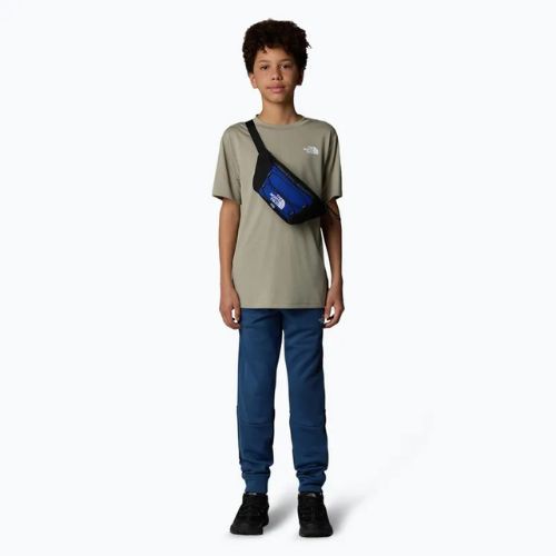 Koszulka dziecięca The North Face Reaxion clay grey
