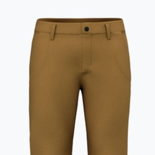 Spodnie trekkingowe męskie Salewa Fanes Hemp golden brown