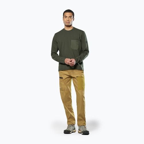 Bluza męska Salewa Fanes Dry Pullover dark olive
