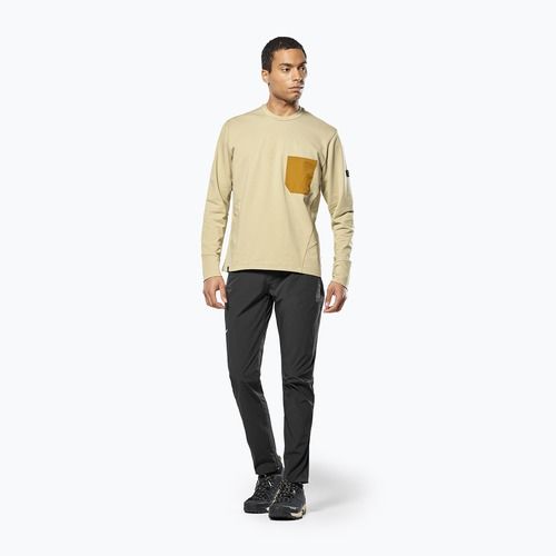Bluza męska Salewa Fanes Dry Pullover quicksand