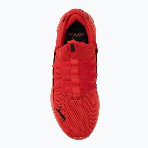 Buty do biegania PUMA Softride Carson Fresh for all time red/puma black
