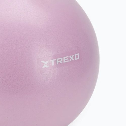 Piłka gimnastyczna mini TREXO TXO-B4Z011-VT 25 cm fioletowy