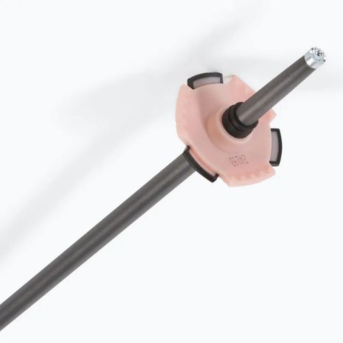Kije narciarskie Salomon Polar Pro rose gold