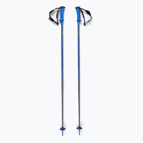 Kije narciarskie Salomon Polar Pro race blue
