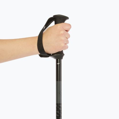 Kije narciarskie Salomon Polar Access black