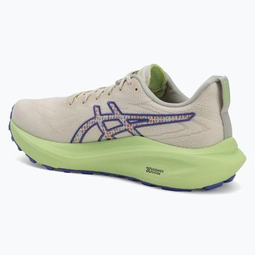 Buty do biegania męskie ASICS GT-2000 13 TR nature bathing/lime green
