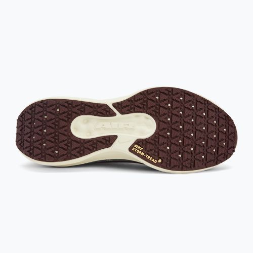 Buty do biegania męskie Nike Winflo 11 GORE-TEX light pumice/dk smokegrey/ burgundycrush/ ashenslate