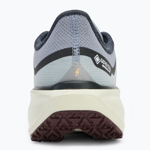 Buty do biegania męskie Nike Pegasus 41 GTX light pumice/ burgundy crush/ dark smoke grey/ ashen slate