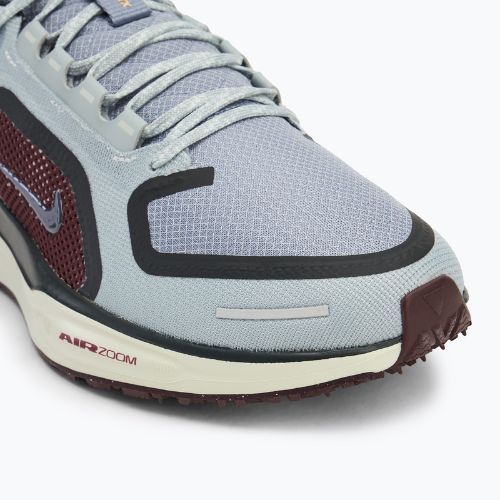 Buty do biegania męskie Nike Pegasus 41 GTX light pumice/ burgundy crush/ dark smoke grey/ ashen slate