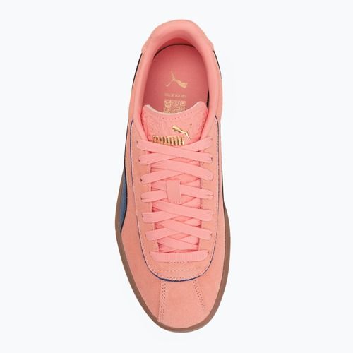 Buty damskie PUMA Club Klassika Suede pink fruit/blazing blue/puma gold