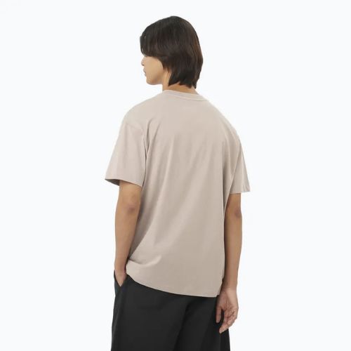 Koszulka męska Salomon Logo RX Tee etherea