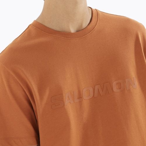 Koszulka męska Salomon Big Logo Tee sierra