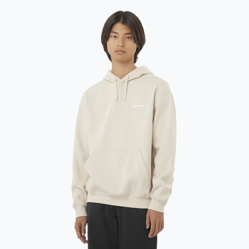 Bluza męska Salomon Logo Hoodie rainy day