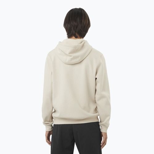 Bluza męska Salomon Logo Hoodie rainy day