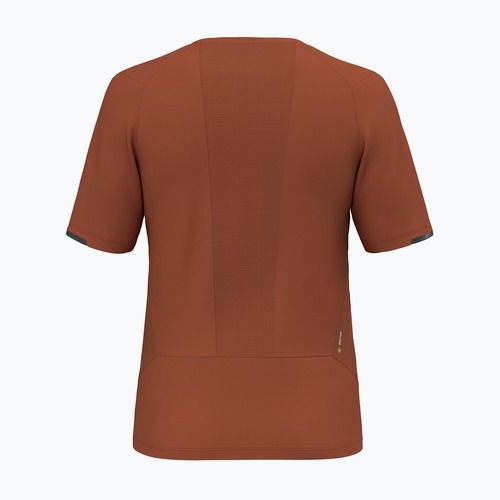 Koszulka trekkingowa męska Salewa Pedroc Dry Hyb bombay brown