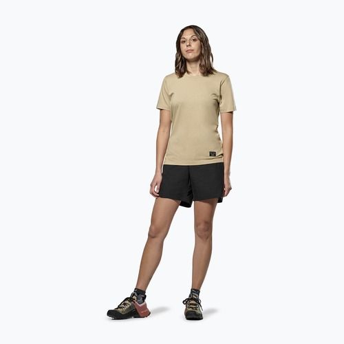 Koszulka damska Salewa Eagle Sunset Loose quicksand