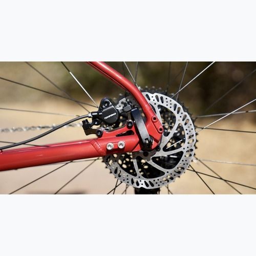 Rower górski Marin Bobcat Trail 3 29 gloss charcoal/red/black