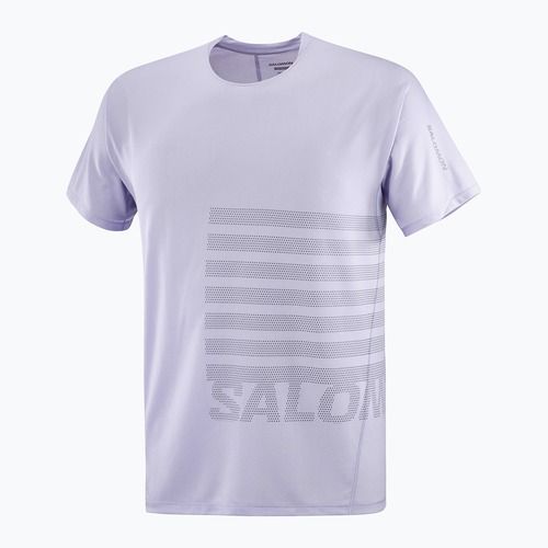 Koszulka do biegania męska Salomon Sense Aero Tee GFX cosmic sky/castlerock