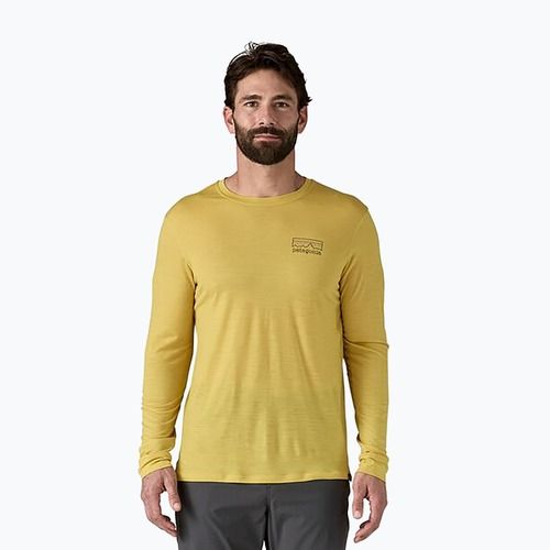 Longsleeve męski Patagonia Cap Cool Merino Blend Graphic fitz roy strata/bundle green