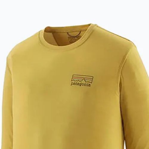 Longsleeve męski Patagonia Cap Cool Merino Blend Graphic fitz roy strata/bundle green